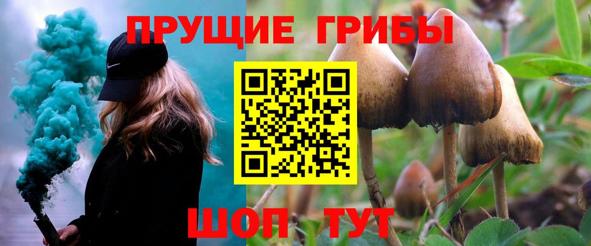 Галлюциногенные грибы мицелий  Вход с VPN  где купить наркотик  Галлюциногенные грибы Magic Shrooms  Тольятти 